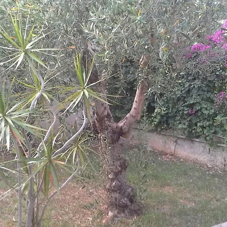 Pensionat Barcarello Sferracavallo